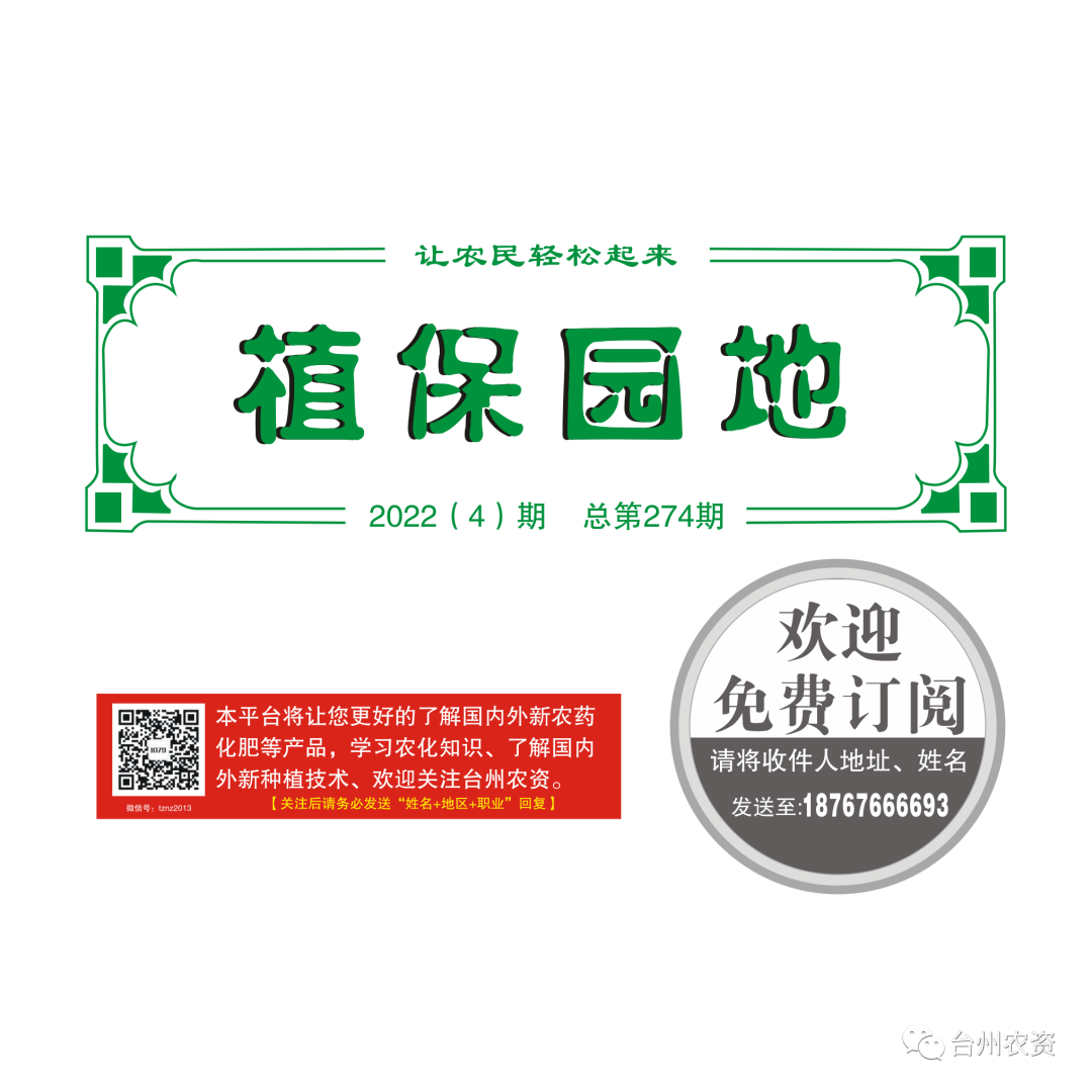 氣溫驟降，大棚西瓜做好以下幾點工作