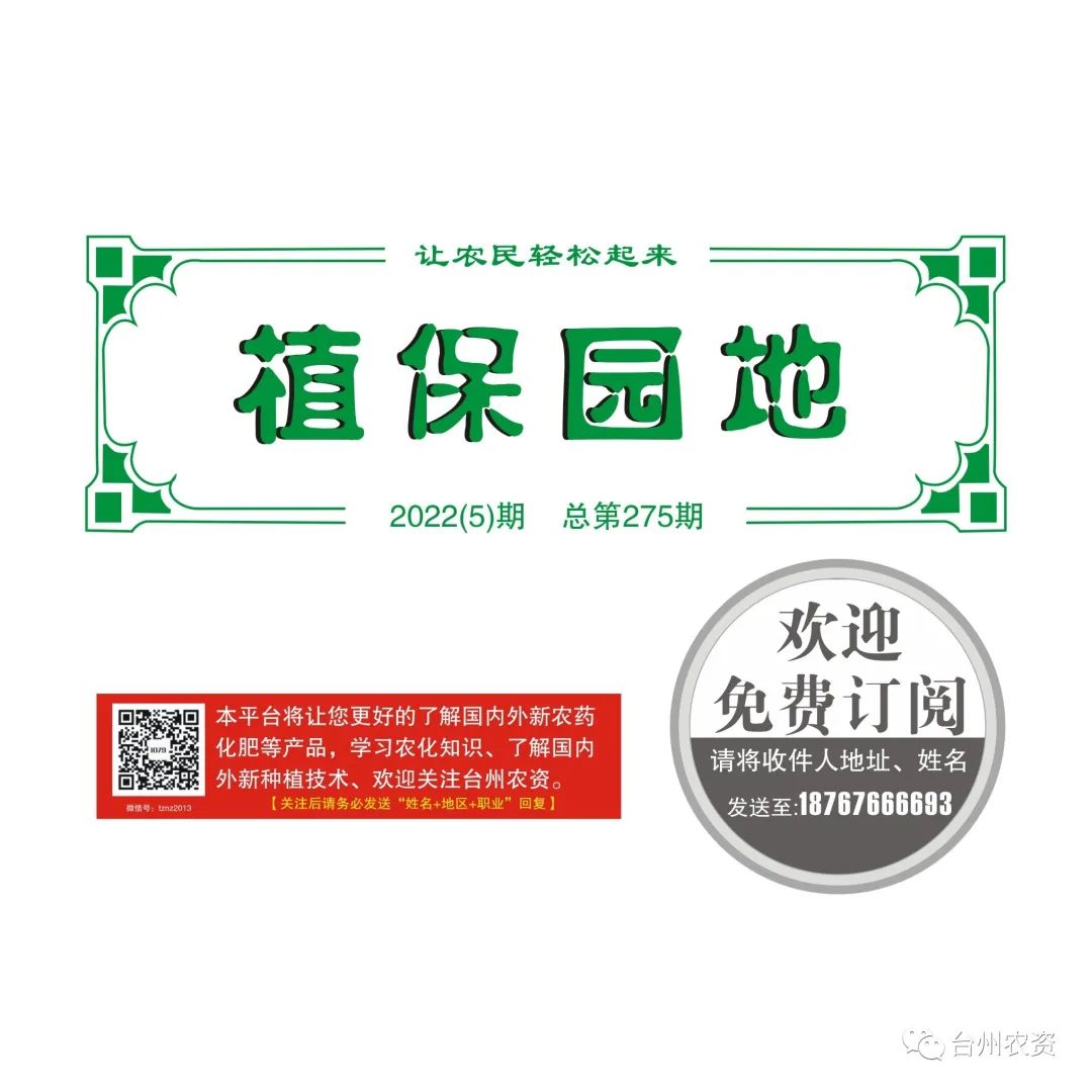 雜交水稻制種增施必奧硅、持力硼千粒重和分蘗初報