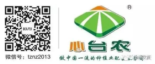 果實(shí)接近成熟，警惕柑橘表面各種油胞病